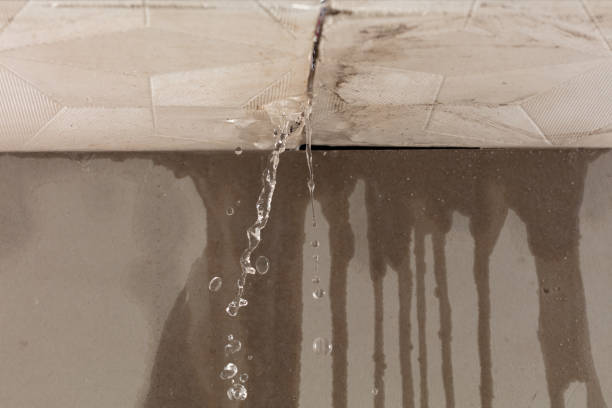Professional Water Extraction technician working in Far Hills, NJ